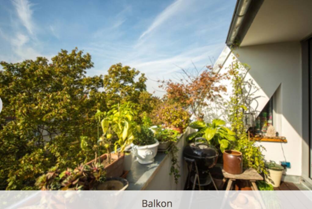 Auf Der Sonnenseite In Appartement